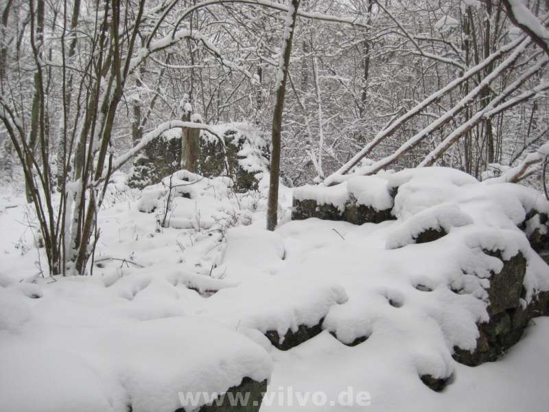 10NordEifelUltra06.jpg