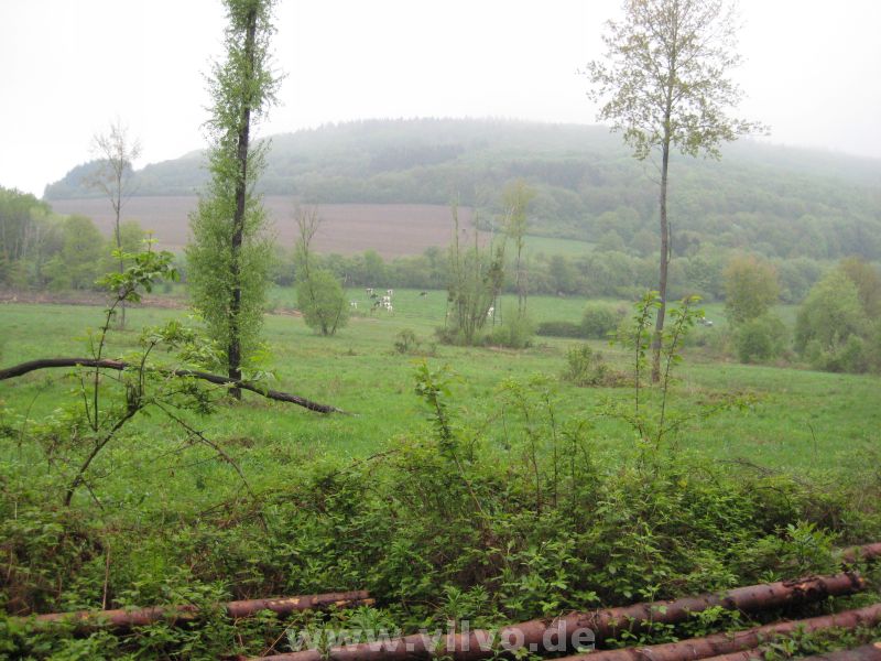 2010KUT10.jpg