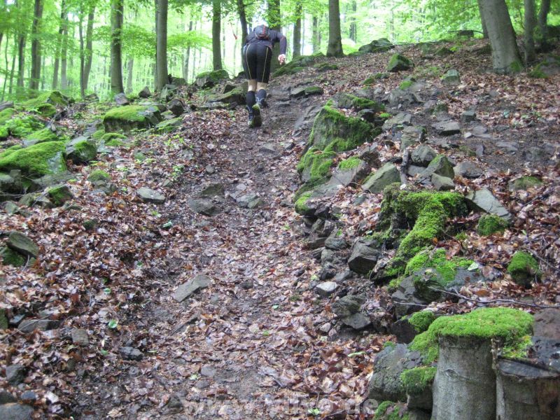 2010KUT23.jpg