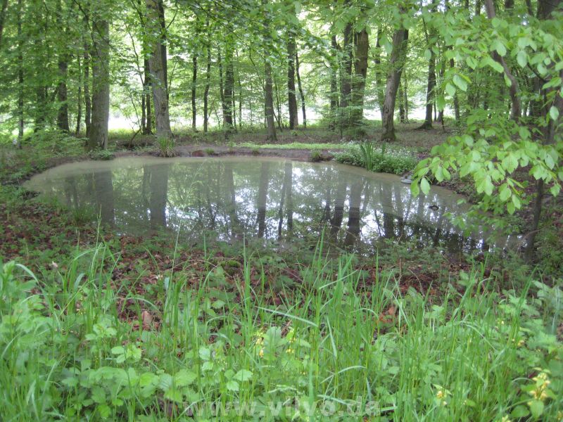 2010KUT44.jpg