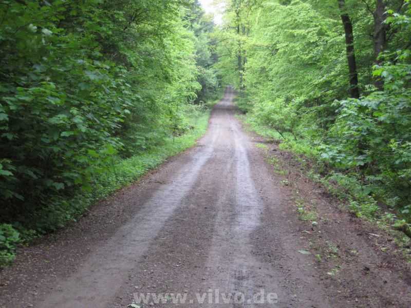2010KUT46.jpg