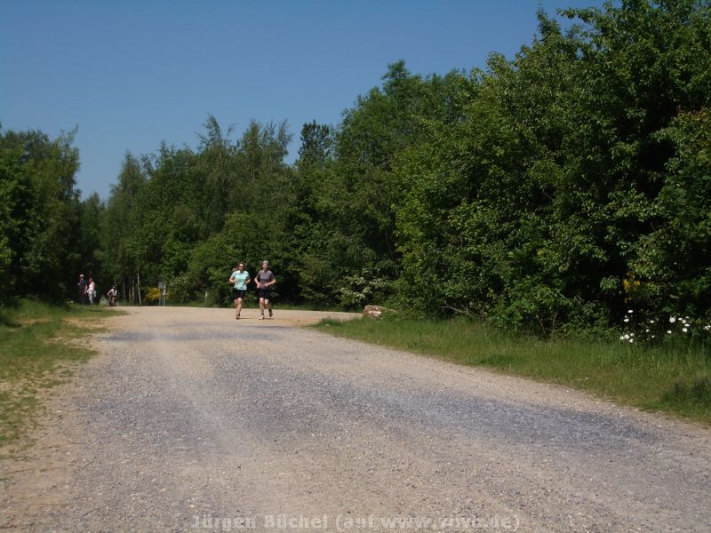 2010sommerrodeln18.jpg