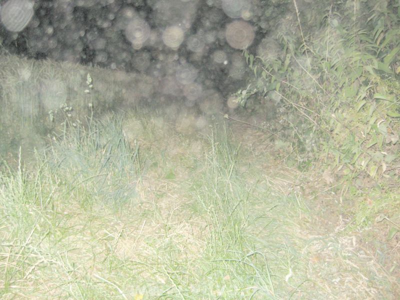 10hr-eschweiler21.jpg 10hr-eschweiler21.jpg