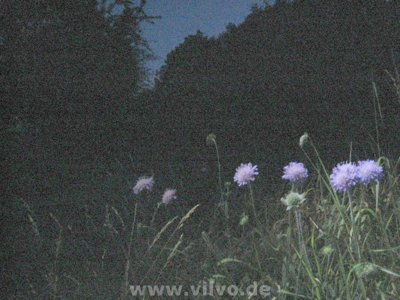 10hr-eschweiler48.jpg