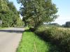 10hambach004.jpg