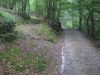 10la-roche017.jpg