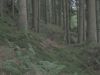 10la-roche028.jpg