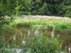 10la-roche047.jpg