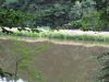 10la-roche049.jpg