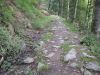 10la-roche050.jpg