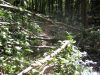 10la-roche079.jpg
