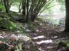 10la-roche080.jpg