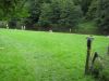 10la-roche092.jpg