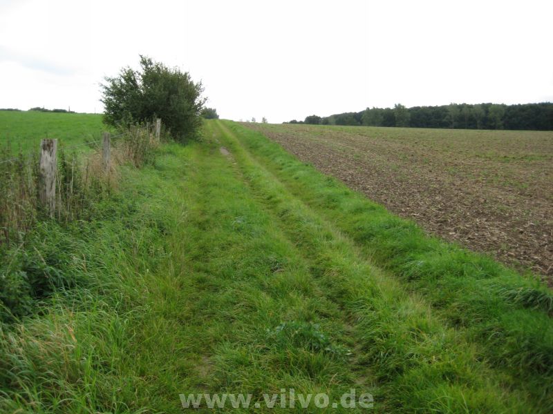 10nett04.jpg