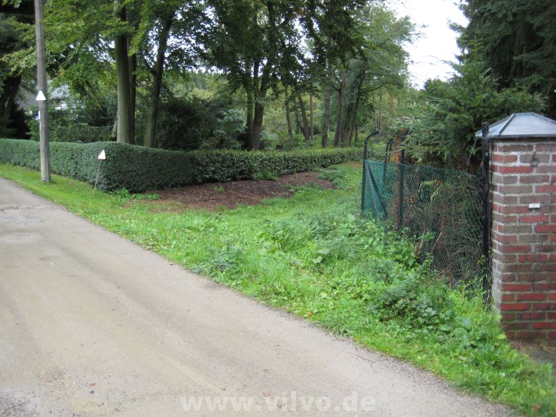 10nett31.jpg