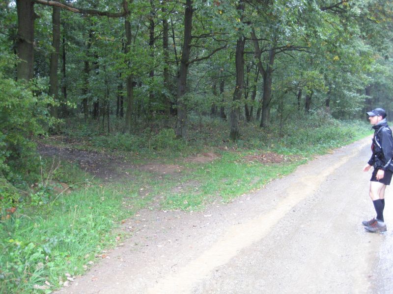 10nett43.jpg