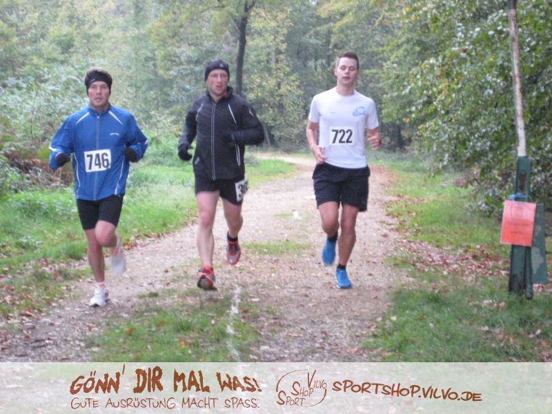 10hambach-wald060.jpg