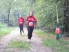 10hambach-wald035.jpg