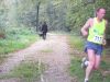 10hambach-wald056.jpg