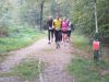 10hambach-wald065.jpg