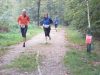10hambach-wald080.jpg