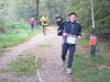 10hambach-wald102.jpg