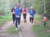 10hambach-wald105.jpg