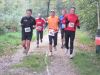 10hambach-wald107.jpg