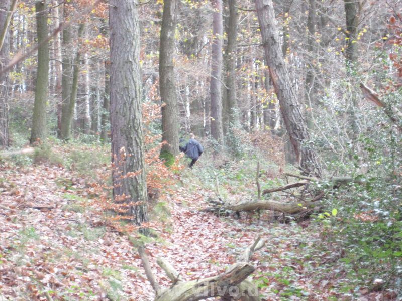 10MiTT26.jpg