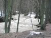 11NEU1_087.jpg