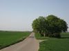 11zuelpich79.jpg