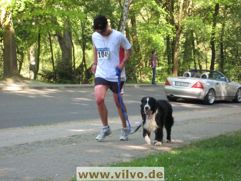 11alsdorf46.jpg 11alsdorf46.jpg