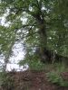 11eicherscheid070.jpg