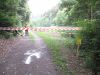 11bosselbach003.jpg