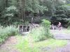 11bosselbach004.jpg