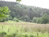11bosselbach005.jpg