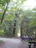 11burgaulauf086.jpg