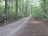 11burgaulauf090.jpg