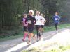 11hambachwald004.jpg