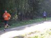 11hambachwald019.jpg