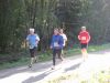 11hambachwald021.jpg