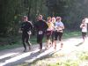 11hambachwald028.jpg