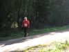 11hambachwald029.jpg