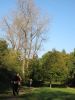 11hambachwald044.jpg