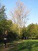 11hambachwald045.jpg