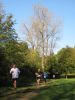 11hambachwald050.jpg
