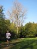 11hambachwald051.jpg