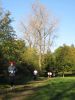 11hambachwald056.jpg