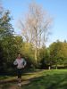 11hambachwald060.jpg