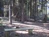 11hambachwald136.jpg